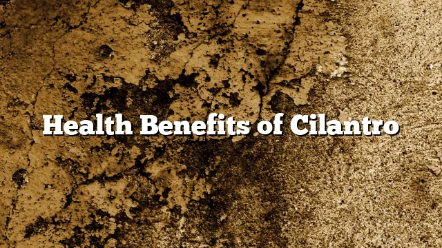 Health Benefits of Cilantro