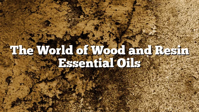 The World of Wood and Resin Essential Oils