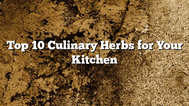 Top 10 Culinary Herbs for Your Kitchen