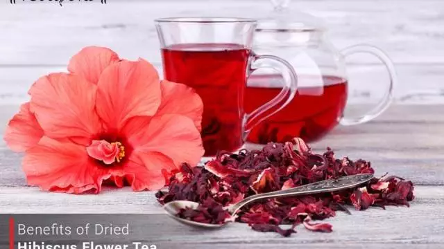 Hibiscus Tea – Benefits and Uses