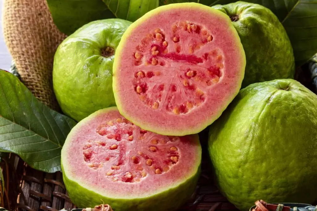 Introduction to the Wonders of Guava