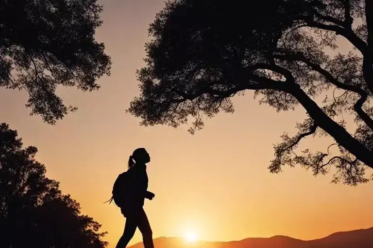 A silhouette of a person with a backpack walking by trees at sunset, with a mountain range in the background.