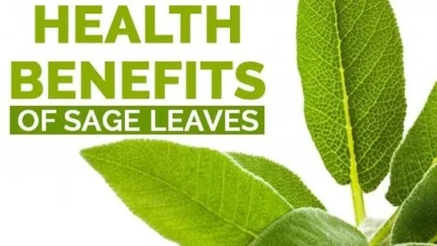 Sage Benefits