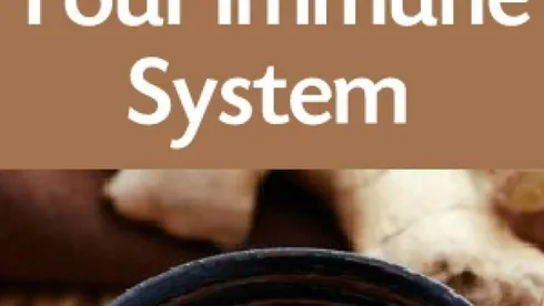 5 Foods to Boost Your Immune System