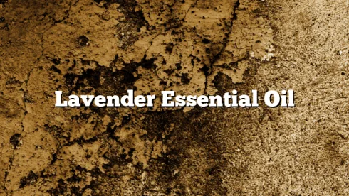 Lavender Essential Oil