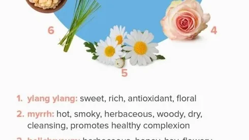 The Role of Essential Oils in Holistic Health