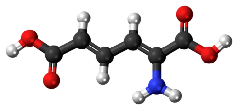 Unlocking the Metabolic Boost: The Power of Chromium